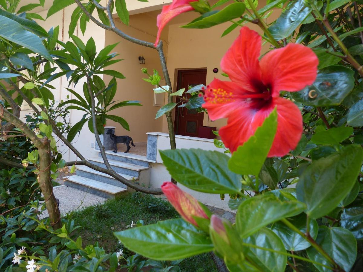 Avgi Garden House Chania With Private Entrance Esterno foto