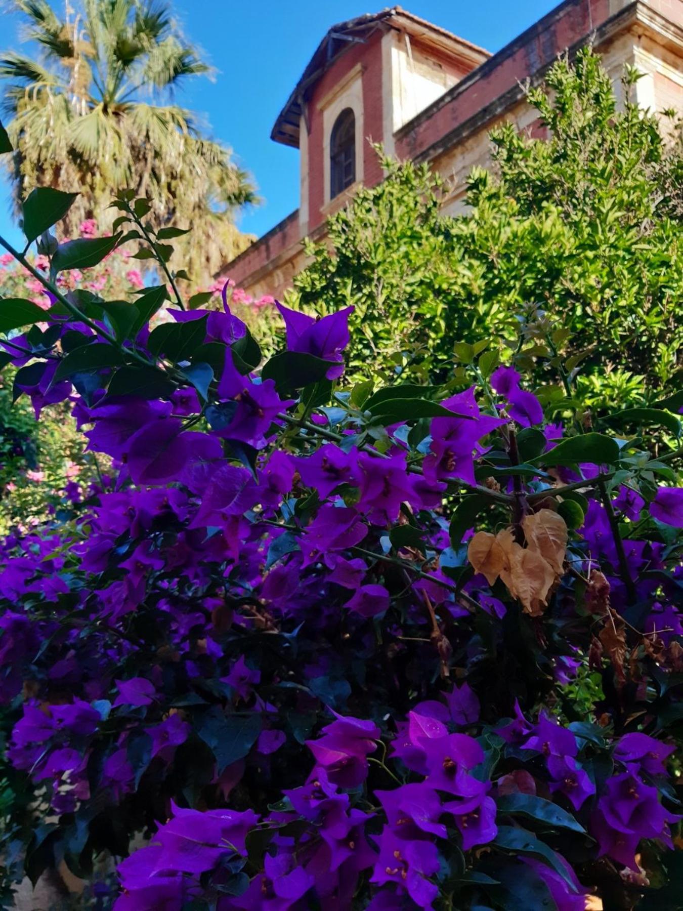 Avgi Garden House Chania With Private Entrance Esterno foto