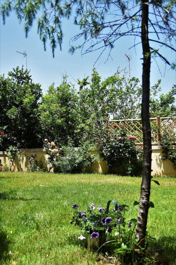 Avgi Garden House Chania With Private Entrance Esterno foto